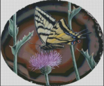 (image for) Swallowtail